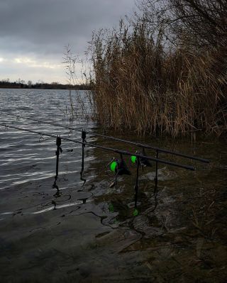 Včera proběhla poslední přesnočka letošní sezóny. Oteplení vybízelo k nahození prutů a čekal jsem alespoň minimální...